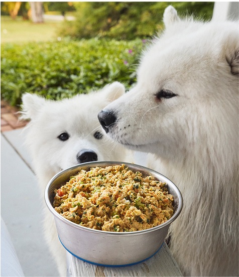 Happy healthy dog with a bowl of fresh NamNamNow food