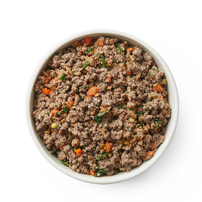 Freshly cooked NamNamNow dog food